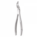 Root Forceps