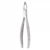 Anterior Forceps 