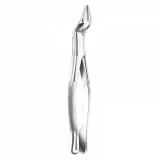 Root Forceps